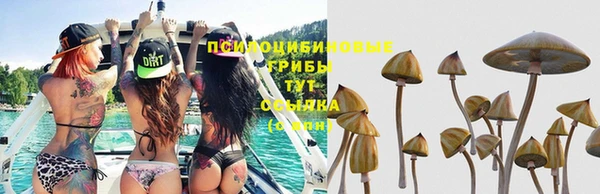 герыч Абинск