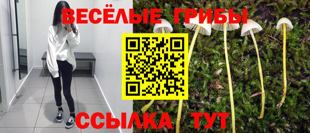 наркошоп  Псилоцибиновые грибы Psilocybe  Дубна  Вход с VPN  Галлюциногенные грибы ЛСД 