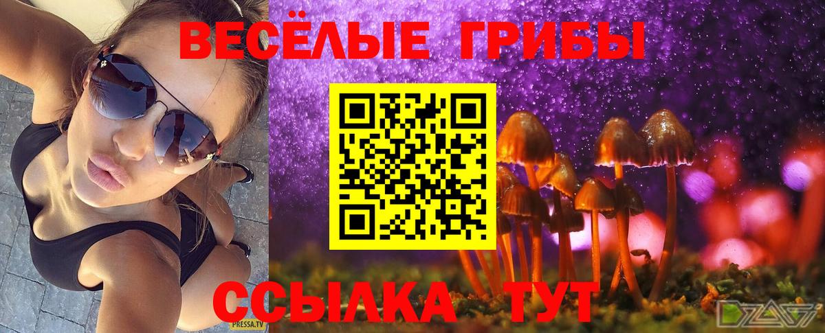 Псилоцибиновые грибы Дубна